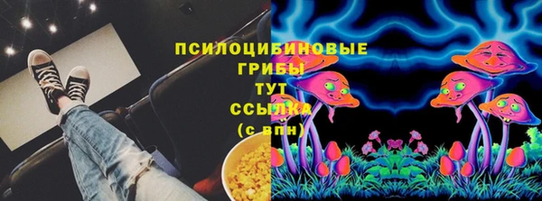 шишки Новодвинск
