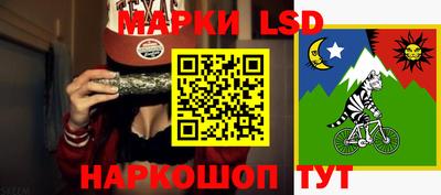 гидропоника Гусев
