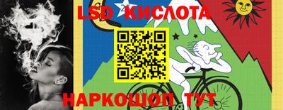 гидропоника Гусев