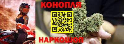 гидропоника Гусев